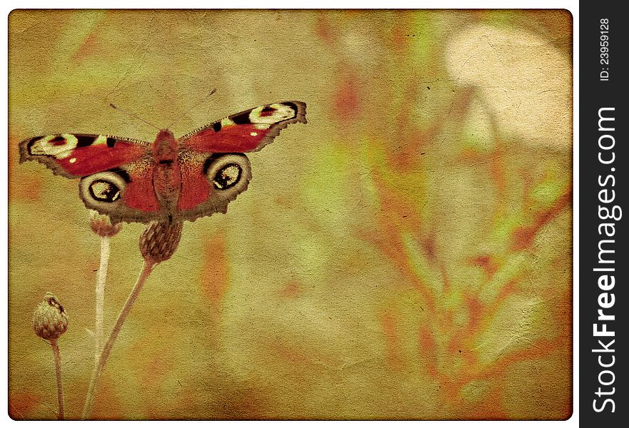 Abstract vintage background with colorful butterfly, texture. Abstract vintage background with colorful butterfly, texture