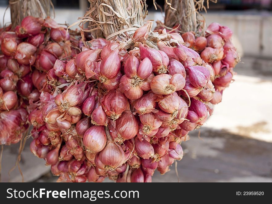 Close up of shallots in the market