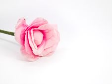 Pink Artificial Flower Royalty Free Stock Photos
