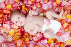 Happy Newborn Baby Girl Lying Among Rose Petals Stock Photo