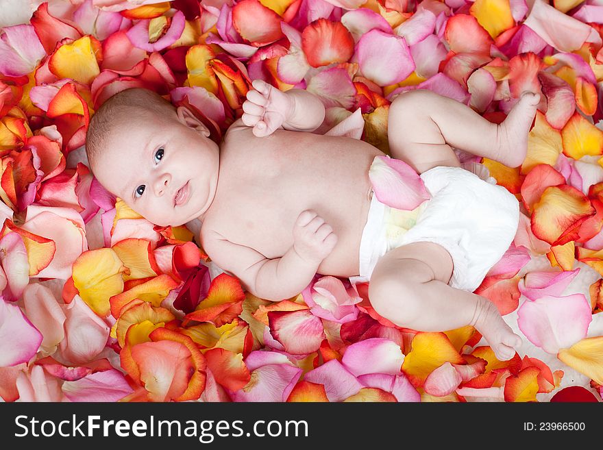 Happy newborn baby girl lying among rose petals