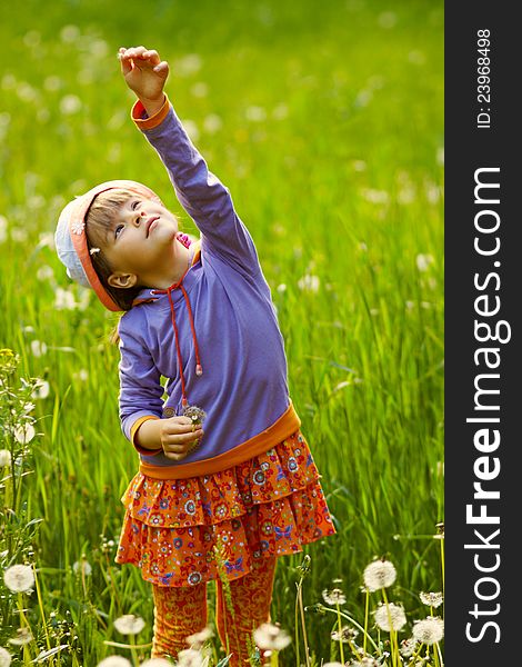 Girl in a field playing with fluffy dandelions. Girl in a field playing with fluffy dandelions