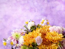 Fragment Of Colorful Chrysanthemums Bunch Royalty Free Stock Images Fragment Of Colorful Chrysanthemums Bunch Royalty Free Stock Images