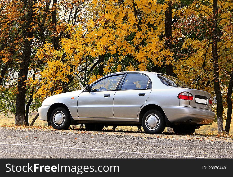 Gray car on autumn leaves background. Gray car on autumn leaves background