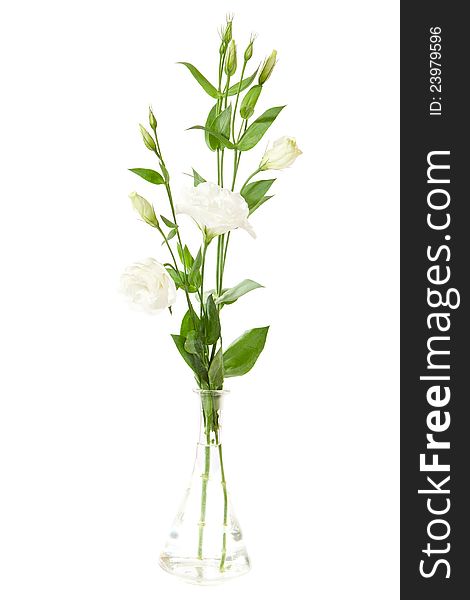 Vase of flowers isolated on white. eustoma