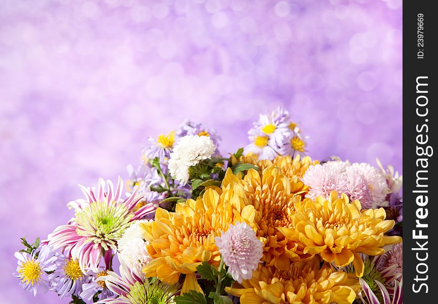 Fragment of colorful chrysanthemums bunch on defocused lilac background