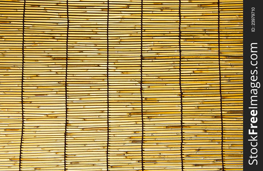 Bamboo Wall.