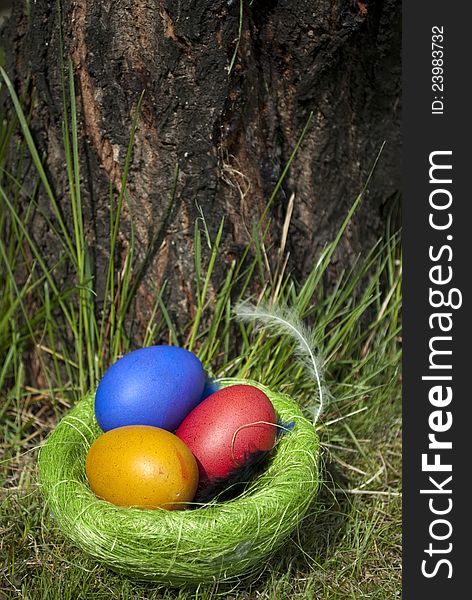 Dyed Domestic Easter eggs in a nest, on the grass