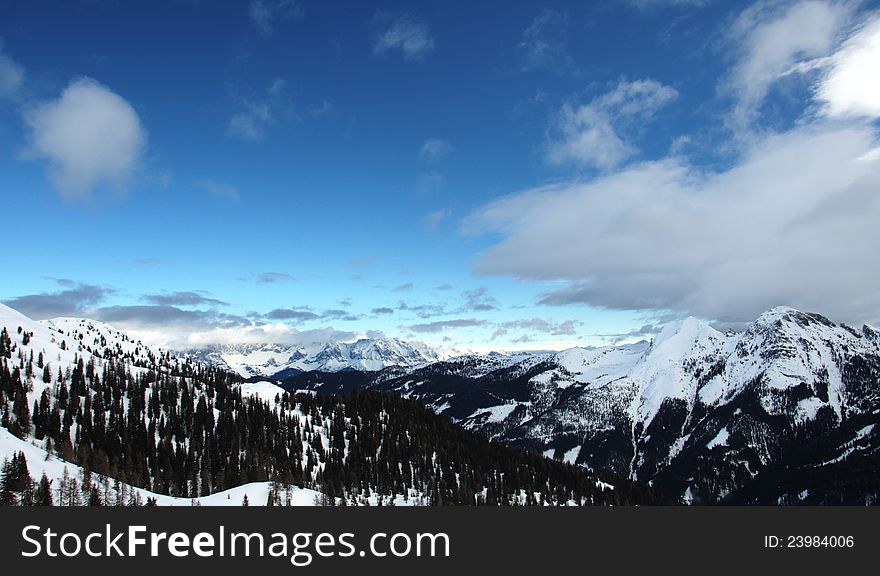 Snowy landscape