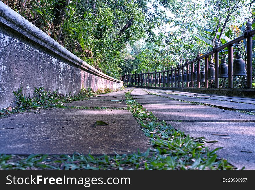 Walkway bell doi tung chiangrai thailand