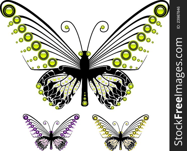 Set of colorful graphic butterflies in different colors