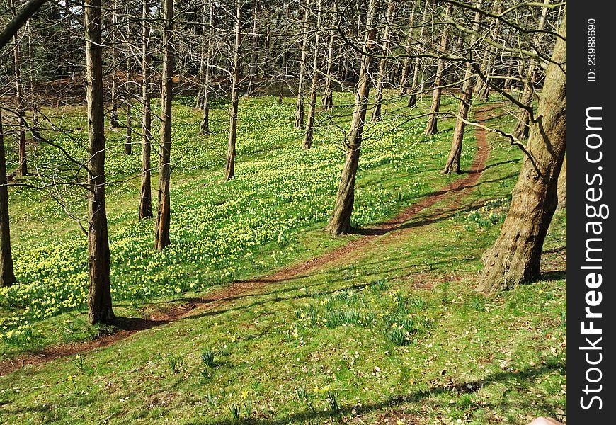 An English Park In Early Spring