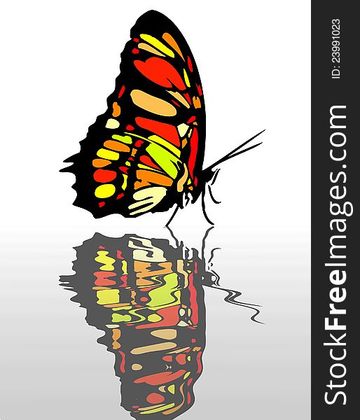 A very colorful butterfly as symbol of spring. A very colorful butterfly as symbol of spring