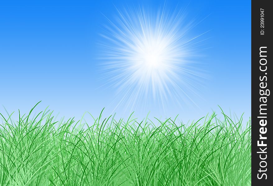 Sky and sun on spring season with grass on the background. Sky and sun on spring season with grass on the background