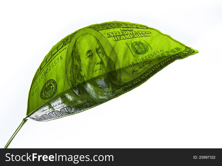 Image Of Dollars On A Piece Of Plant