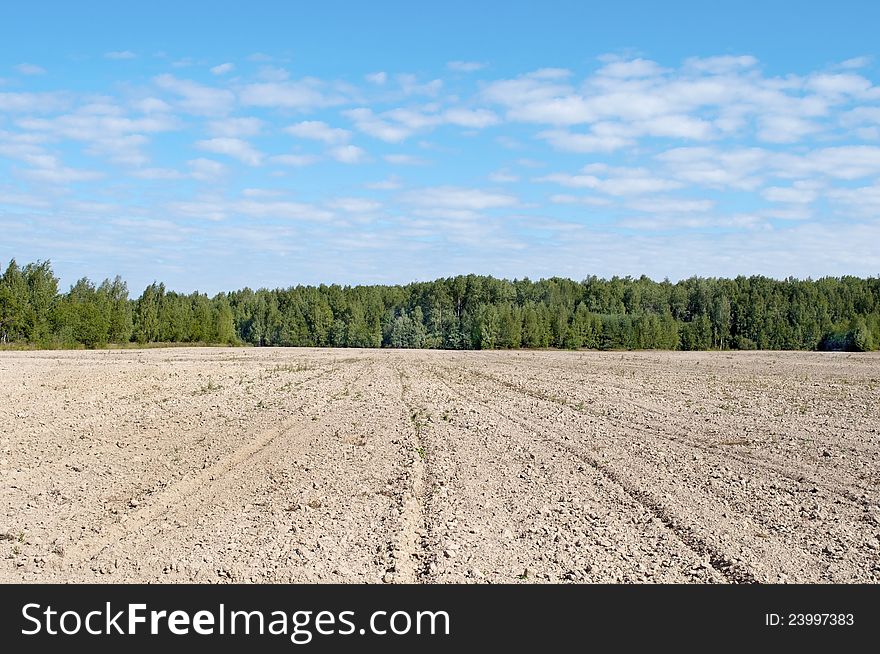 Arable land at forest background, sunny summer day. Arable land at forest background, sunny summer day