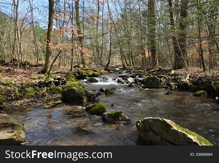 Mountain Stream