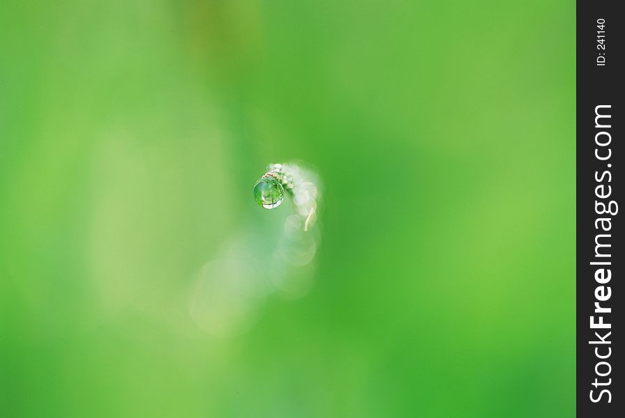 Water Drop Image