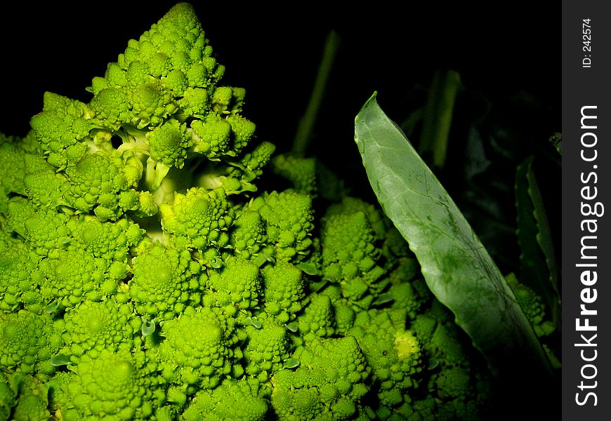 Part of fresh green cauliflower lying in the darkness