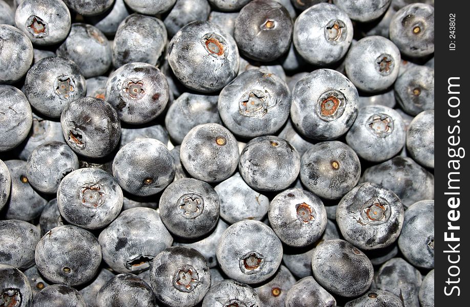 Large mass of plump blueberries. Large mass of plump blueberries
