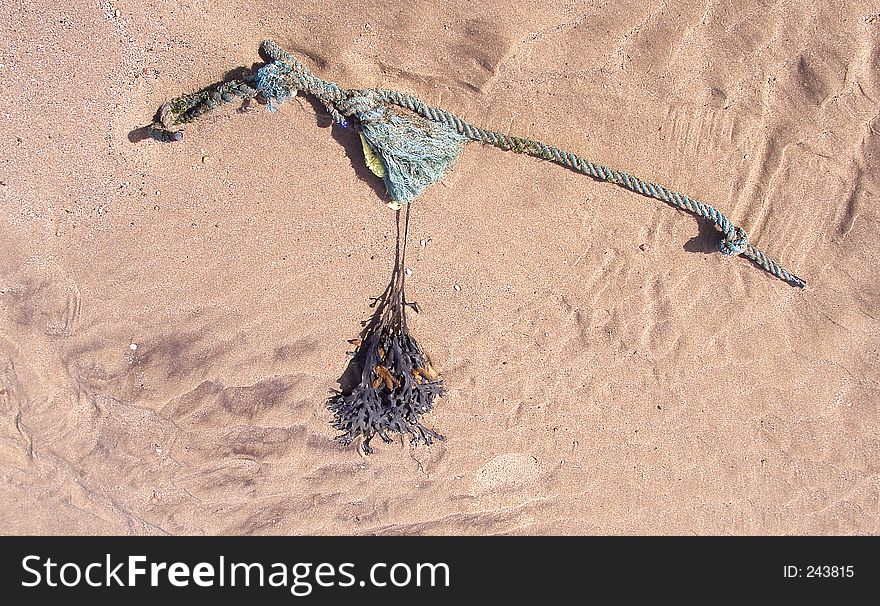 Rope on sand Reighton. East yorkshire UK