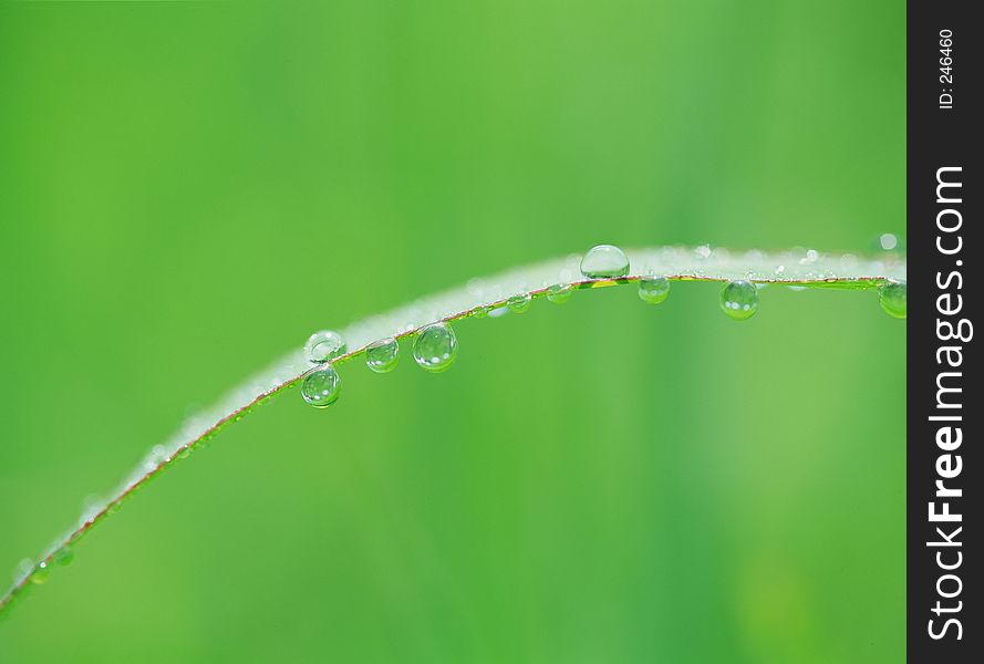 Water Drop Image