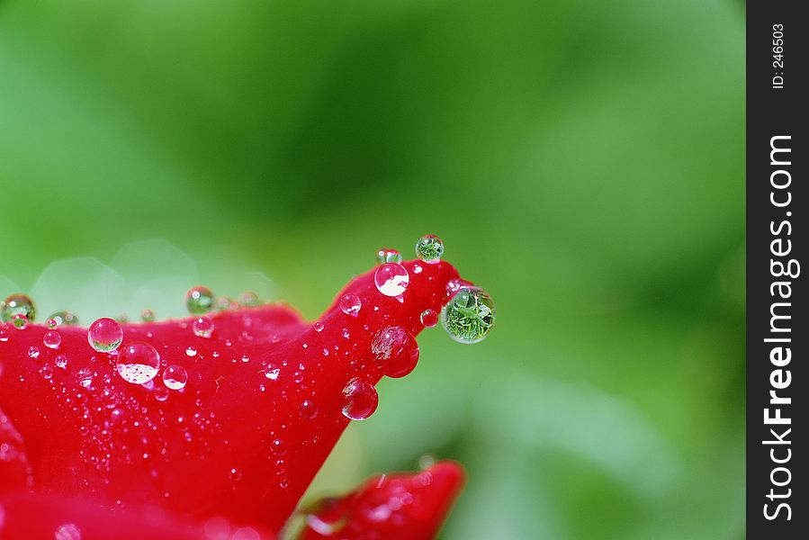 Water Drop Image