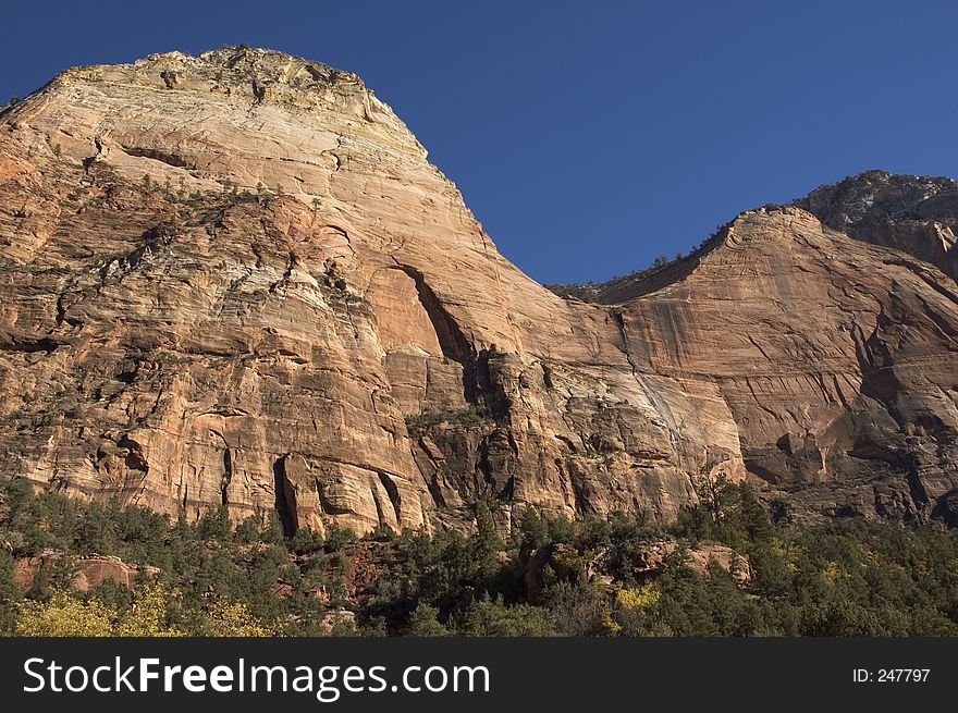 The sandstone walls of a canyon in Zion National Park in southern Utah. The sandstone walls of a canyon in Zion National Park in southern Utah