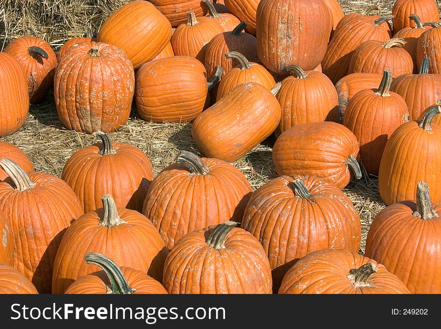 Autumn Pumpkins