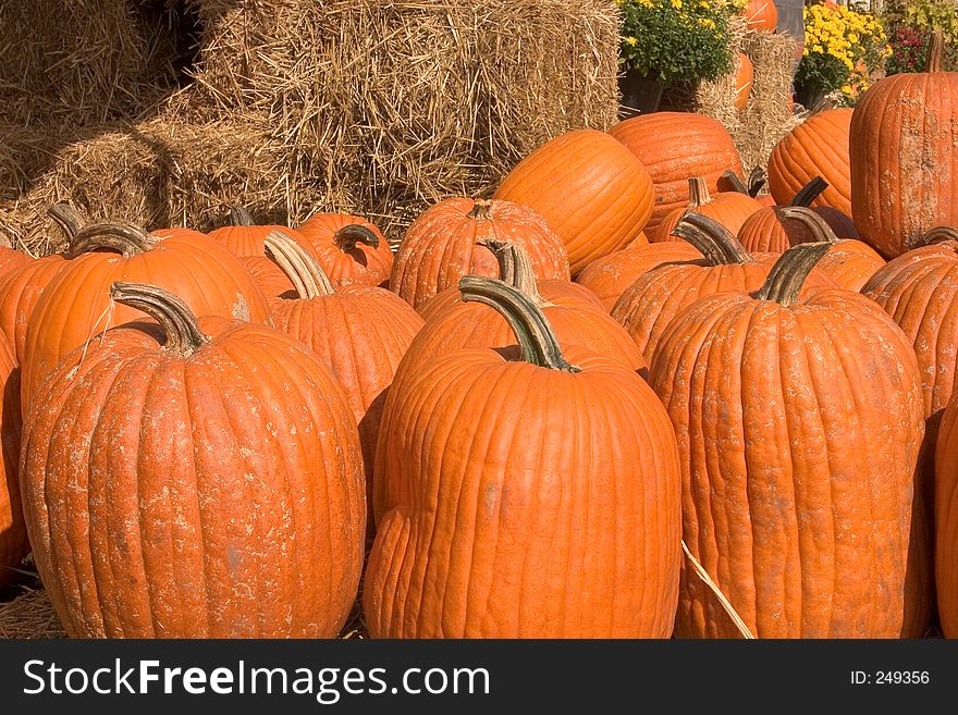 Autumn pumpkins