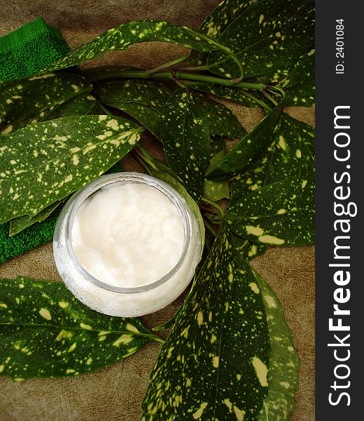 Moisturizing Cream With Leaves