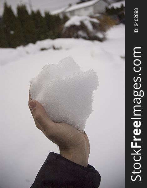 A big, powder snowball from winter's first snow. A big, powder snowball from winter's first snow.