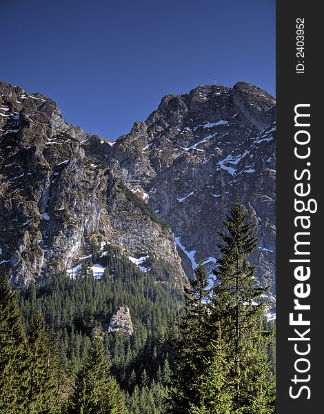 Mountain landscape - forest in foreground and mount giewont in background. Mountain landscape - forest in foreground and mount giewont in background