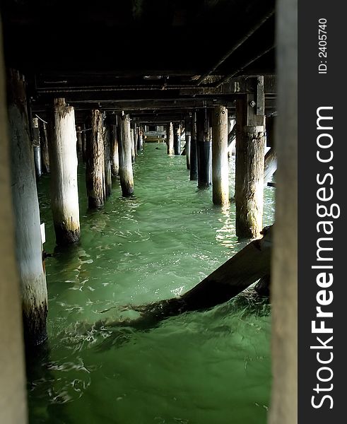 Wooden pillars in green clean water, photo taken under ship docks