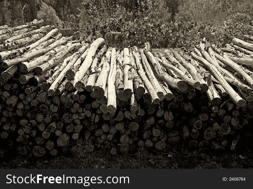 A pile of firewood in black white photo