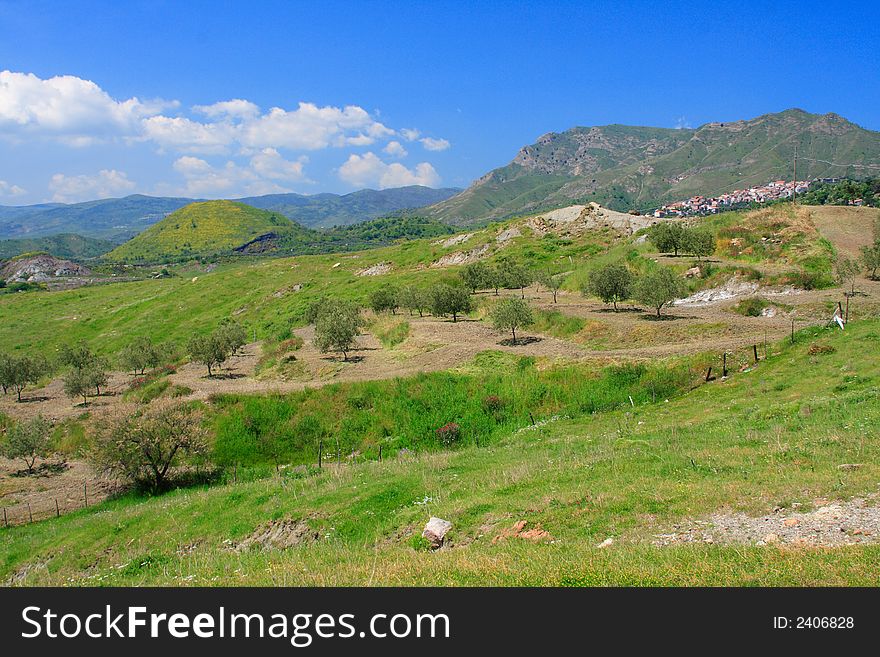 Sicilian countryside landscape near Etna volcano with olive-trees