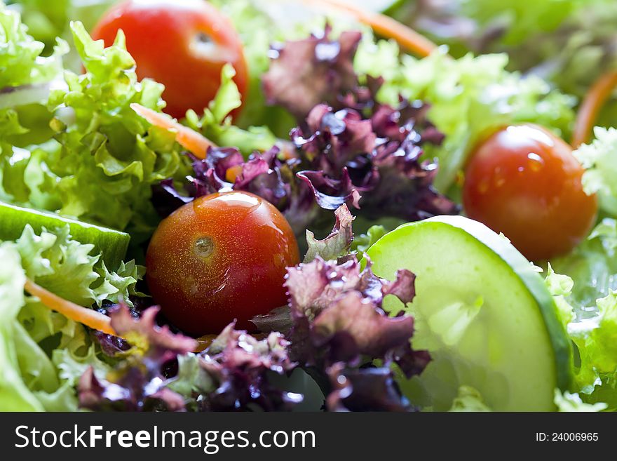 Fresh Salad Close Up