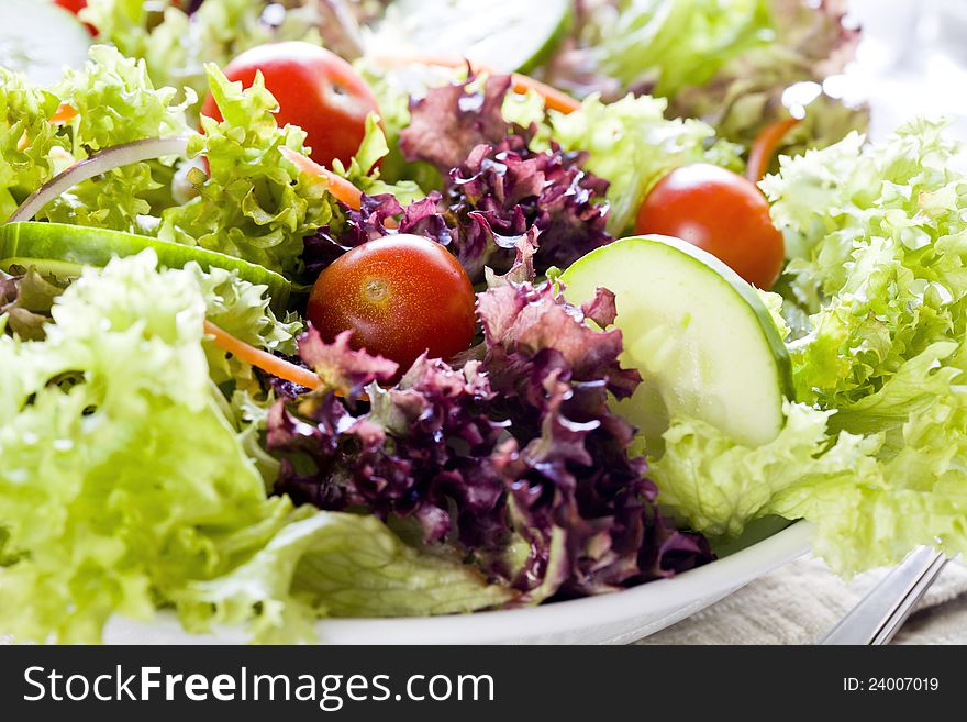 Salad Close Up