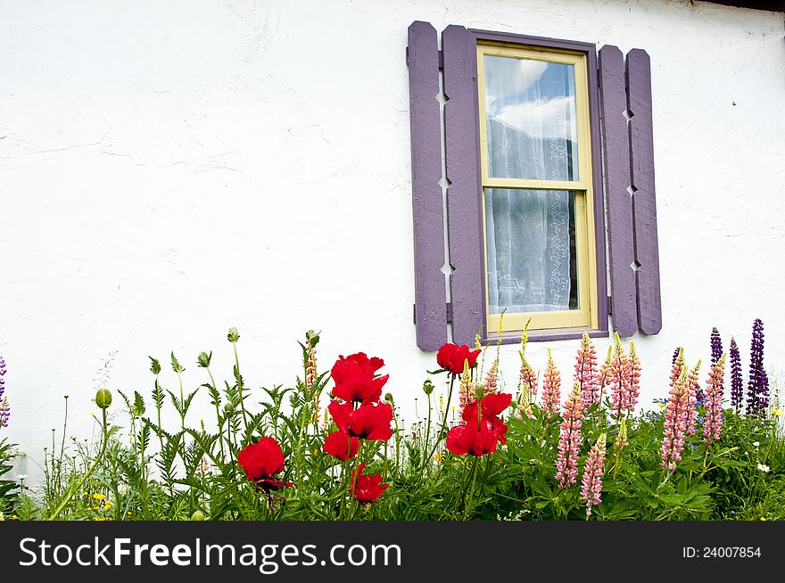 Flowers frame a white cottage window covered with purple shutters. Flowers frame a white cottage window covered with purple shutters.