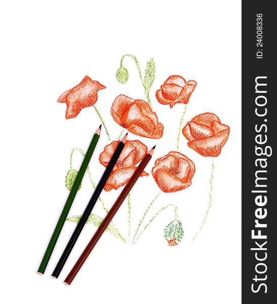 Paints and pencils,watercolor beautiful watercolor Poppy border