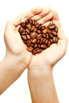 Coffee Beans In Children S Hands Stock Photo Coffee Beans In Children S Hands Stock Photo