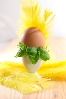 Egg In Eggcup Royalty Free Stock Photos Egg In Eggcup Royalty Free Stock Photos