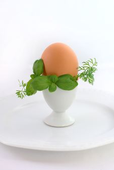 Egg In Eggcup Stock Images Egg In Eggcup Stock Images