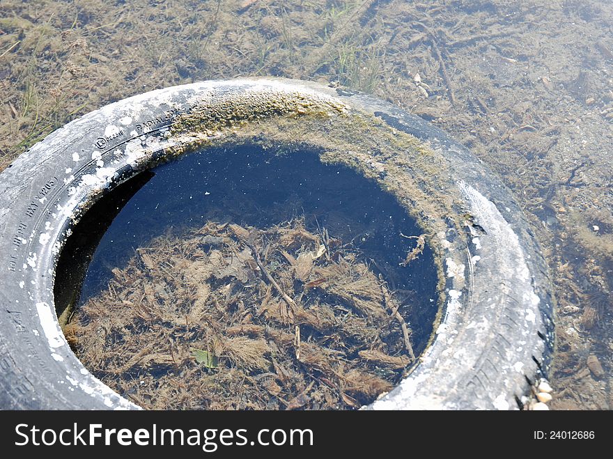 Close view of an old tire on the water
