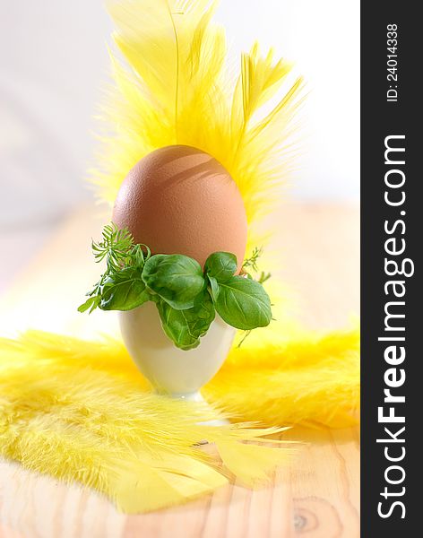 Egg in eggcup on the wooden desk, decorated with yellow feathers