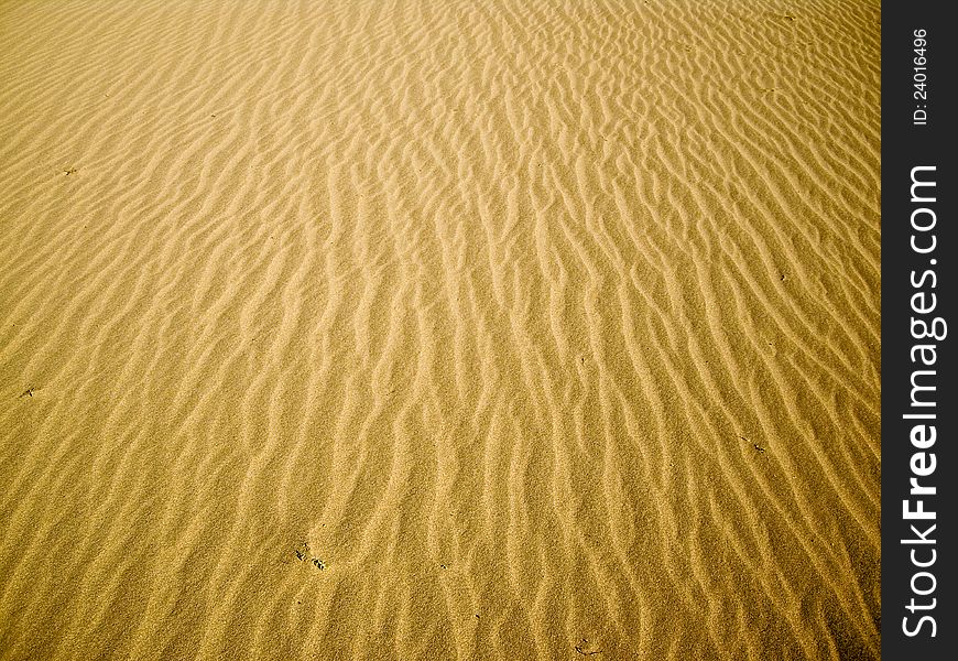 Glowing sand ripples at Death Valley. Glowing sand ripples at Death Valley