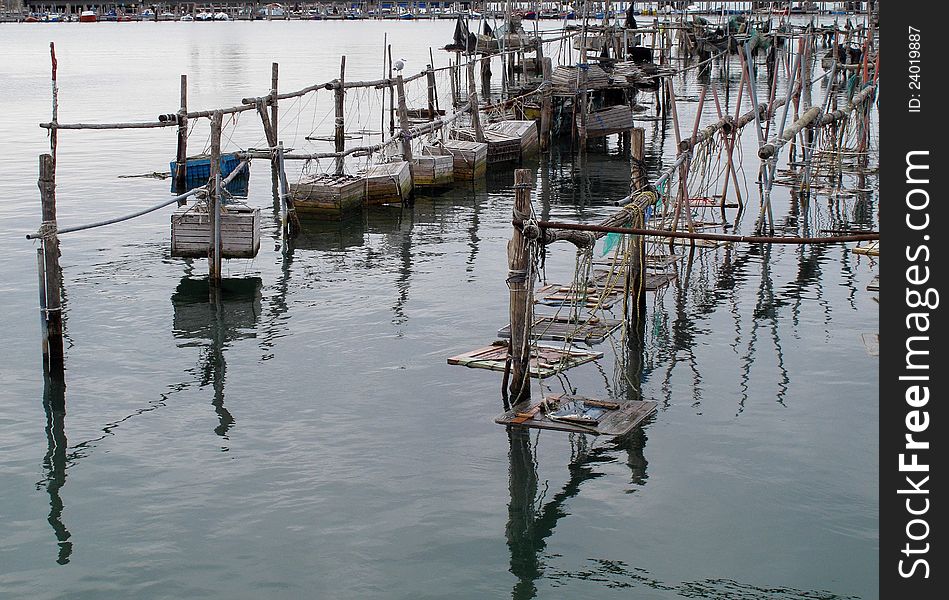 Fishing in the Lagoon of Venice