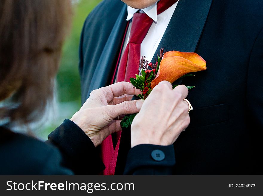 Putting the corsage on a groom during a wedding. Putting the corsage on a groom during a wedding
