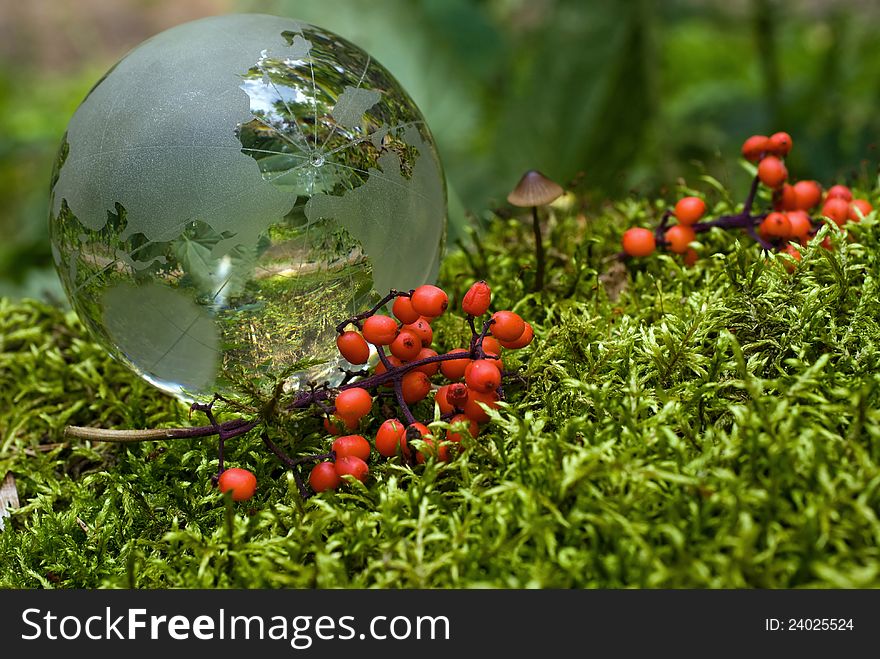 Crystal-clear globe on green moss with red berries