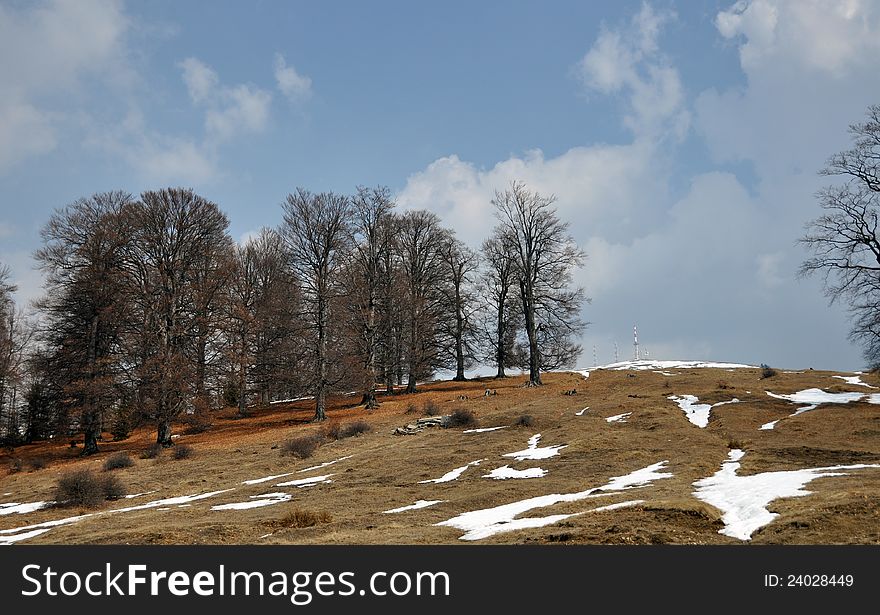 Top mountain on transalpina road on top Carpathian mountains in center of Romania. Top mountain on transalpina road on top Carpathian mountains in center of Romania